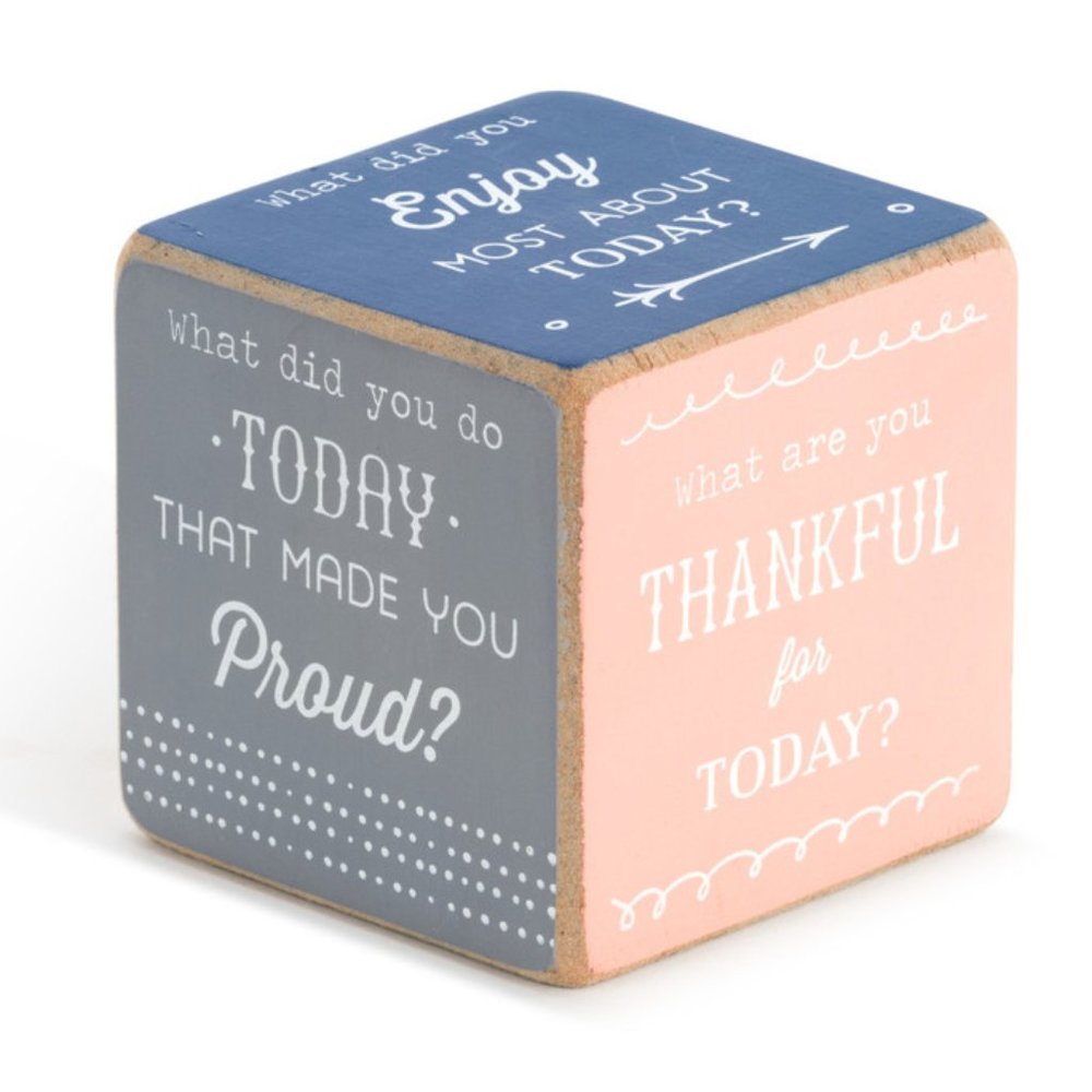 NWT Family Conversation Jumbo Dice